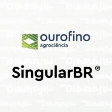 SingularBR